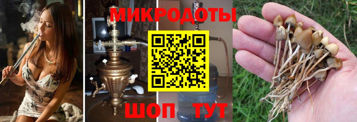 Галлюциногенные грибы Cubensis  Вход с VPN  Барнаул 